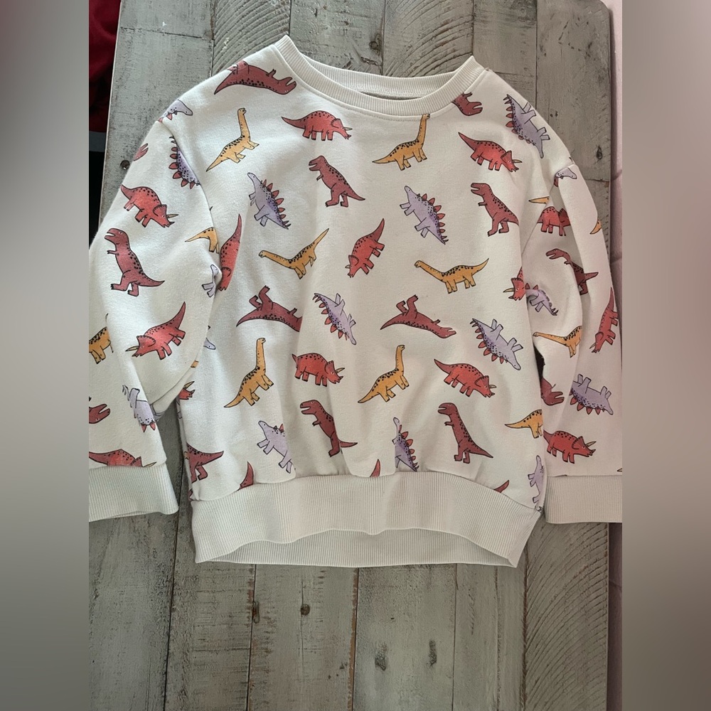 Old Navy Dinosaur Print Kids Sweatshirt